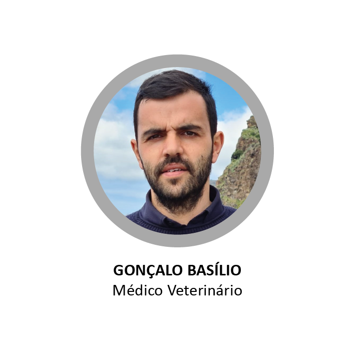Gonçalo Basílio - Médico Veterinário - Formador Pharmabsc